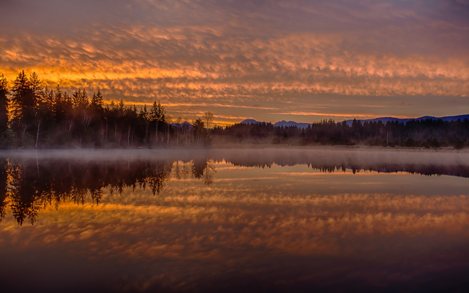 lago kirchsee baviera alemania amanecer mañana niebla reflexión bosque