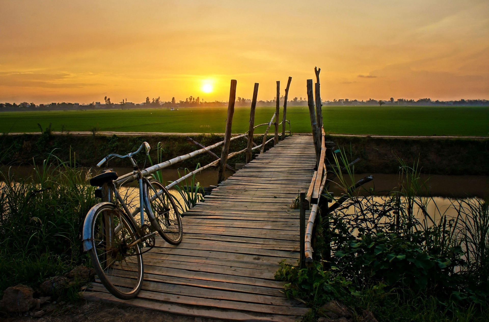 humeur vélo pont pont verdure plante feuilles eau lac rivière champ soleil arbres soirée coucher de soleil ciel arrière-plan fond d écran écran large plein écran écran large