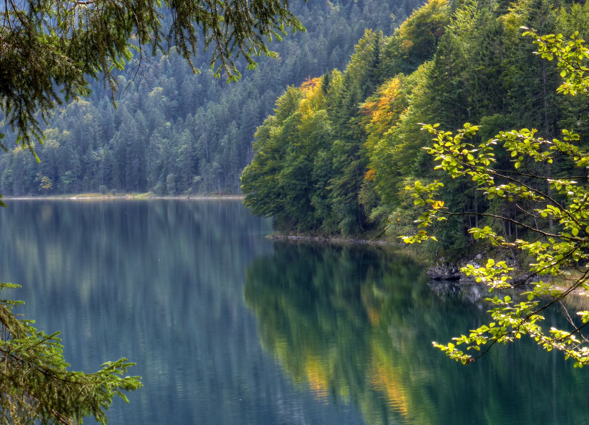 eibsee bayern deutschland eibsee wasseroberfläche wald reflexion herbst