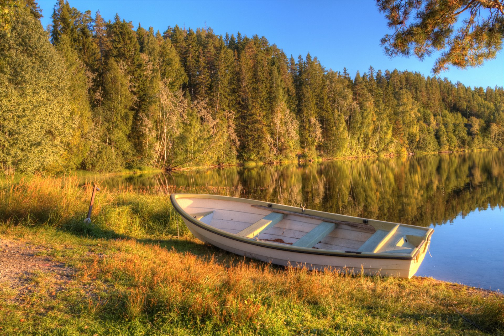 otoño temprano bosque lago barco mañana