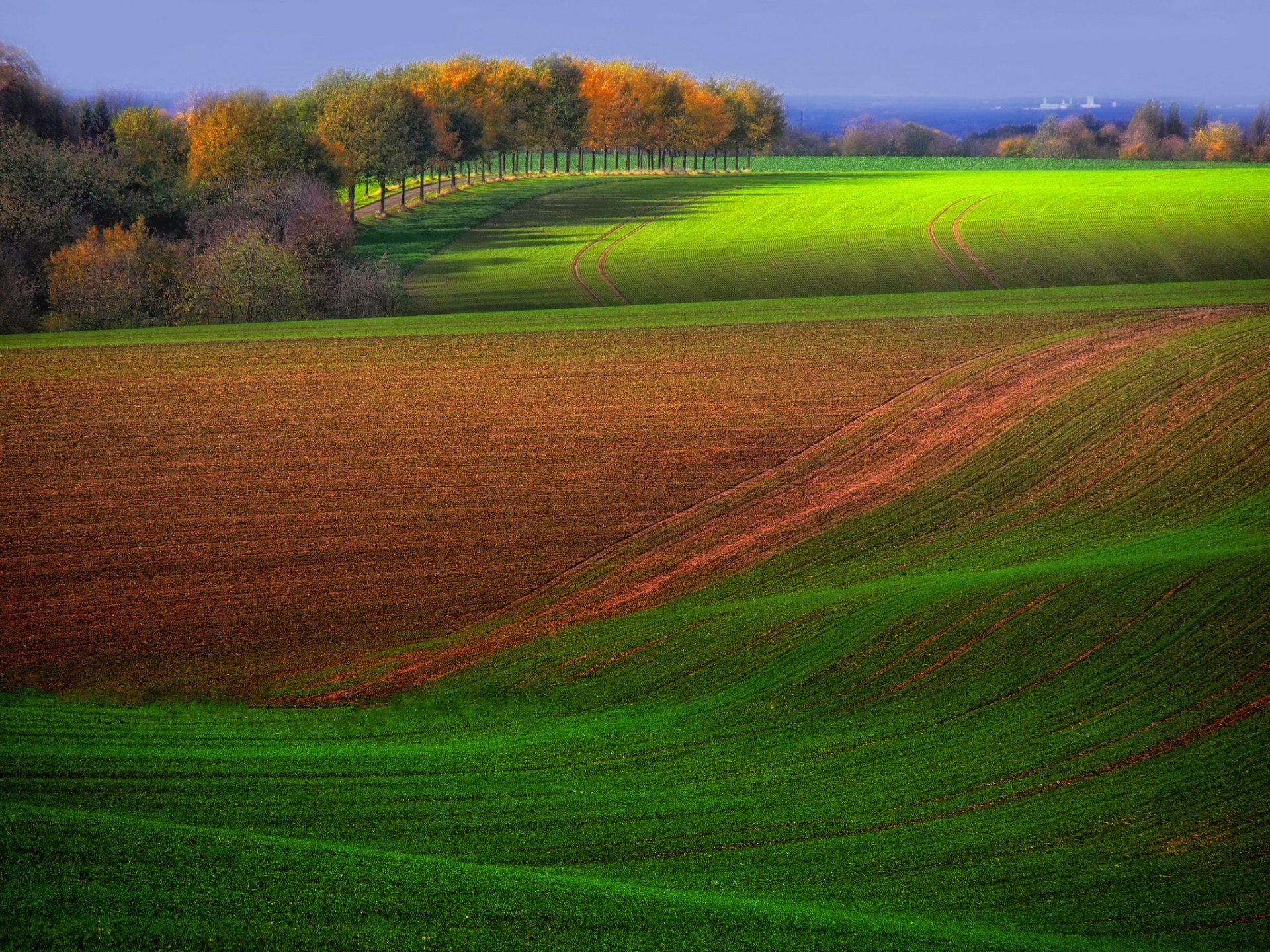 champs arbres automne