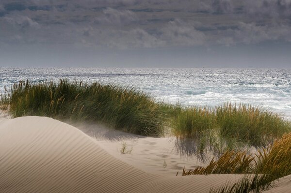 Dunes on a sandy beach against the background of the sea