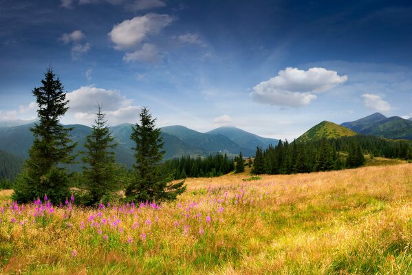 Toute la beauté de la nature au pied de la montagne