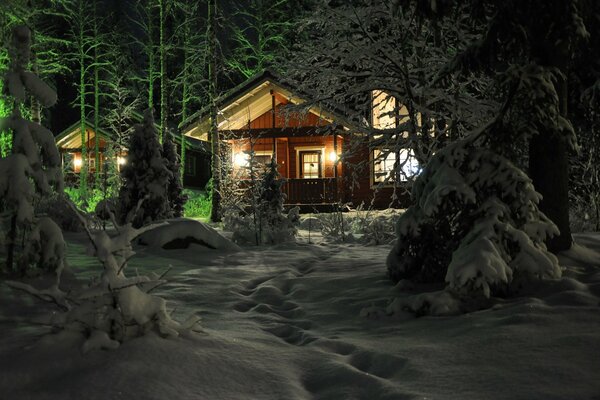 Cabane dans la forêt de conifères d hiver