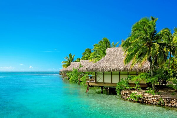 Das blaue Meer des Malediven Resorts