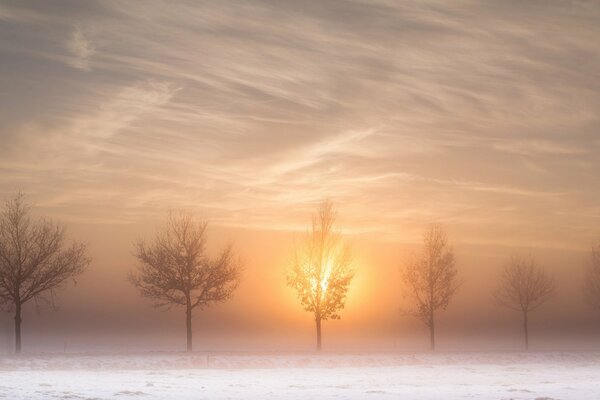 Winterstraße am Morgen im Nebel