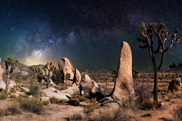 En algún lugar del desierto bajo las estrellas