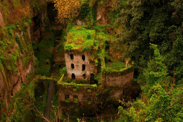 Ruinas de un edificio cubierto de vegetación