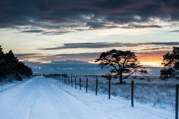 Winter Sonnenuntergang im Feld