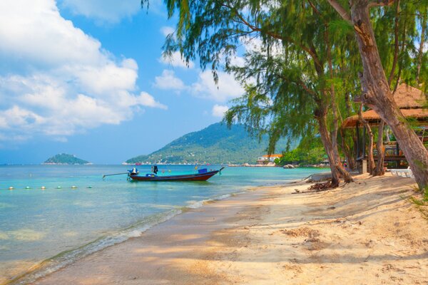 A beach in Thailand. Tropical landscape