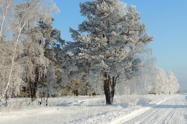 Winter road home after school