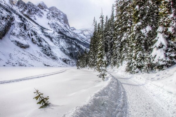 Winter road separating mountains and forest