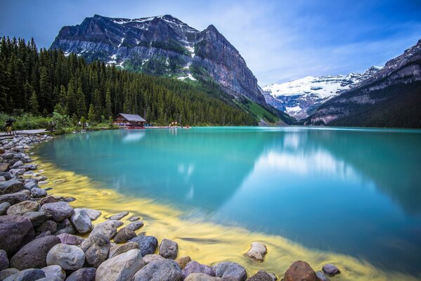 Forest and mountains around the lake