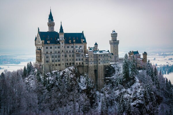 Castillo rodeado de árboles nevados