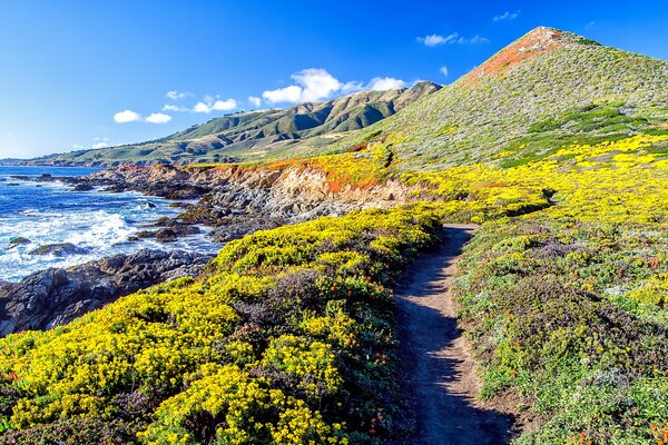 Pacific Ocean coast, hills