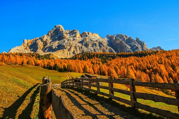 Chemin sur le paysage d automne des montagnes