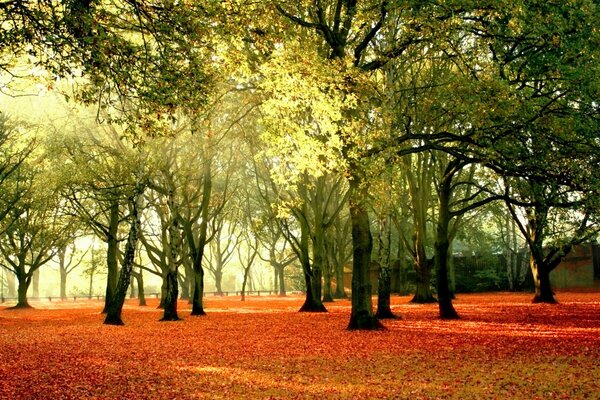 Piękne krajobrazy złotej jesieni