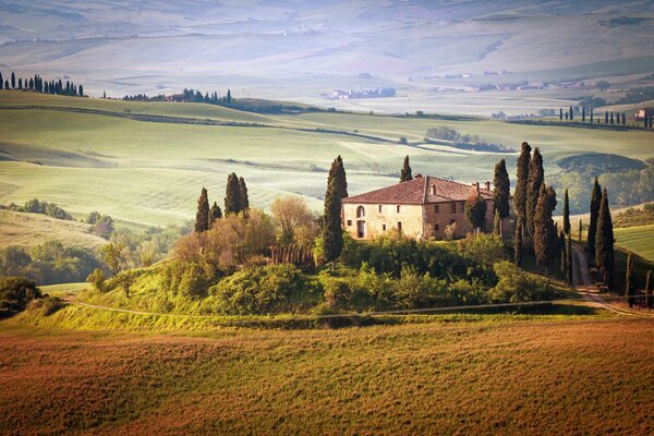 Paysage de campagne verte