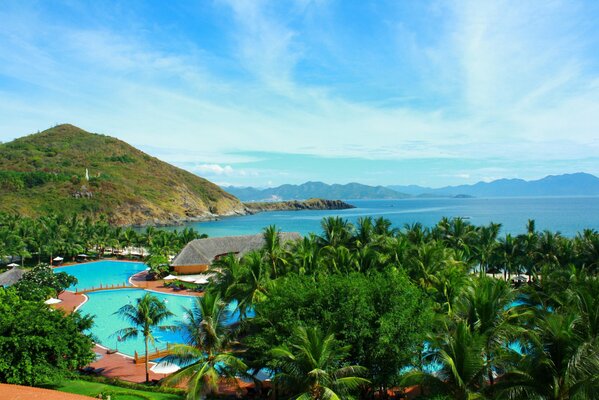 Tropics: blue sea, green foliage