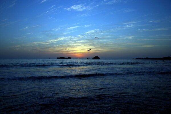 Aves en el fondo de la puesta de sol en la orilla del mar