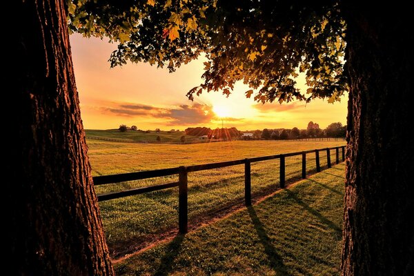 Sunrise over a field with a fence