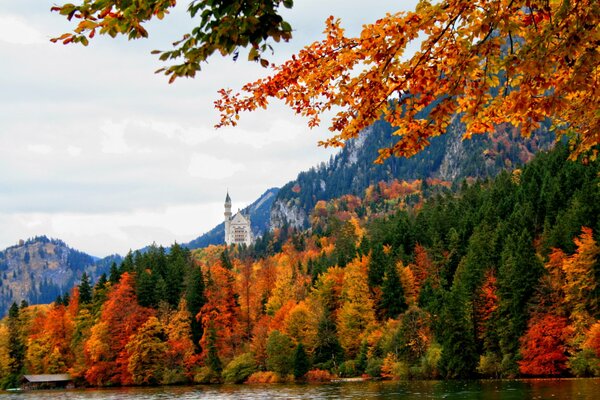 Bavaria Schwangau autumn nature