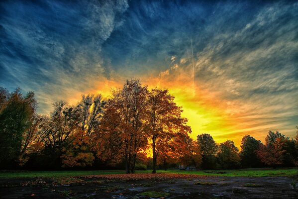 Sunset on an autumn evening in the park