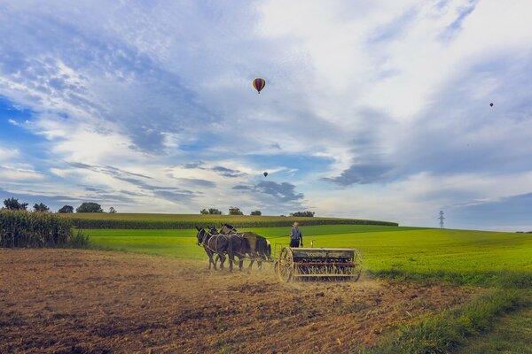 Bolas voladoras y caballos en el campo