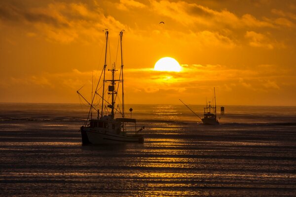 Fishing boats at sea at sunset