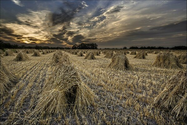 Hay sheaves look very romantic at dusk