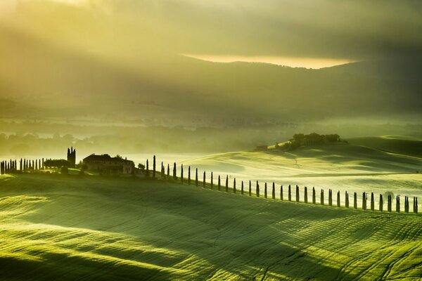 Imagen de campos verdes italianos, niebla cerca de la ciudad