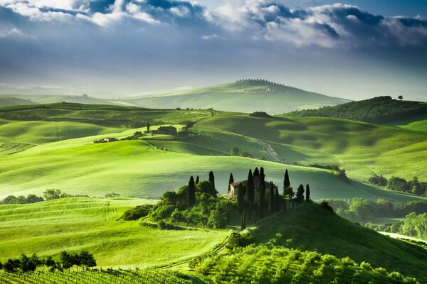 Immagine di campi verdi in Italia sullo sfondo dell alba