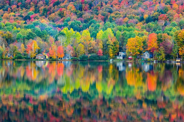 Reflection of the autumn forest in the water