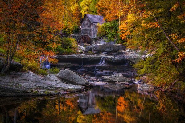 A house in the forest near the lake in autumn