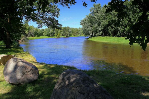 Au milieu de la forêt, trouver un lac dans lequel vivent des poissons