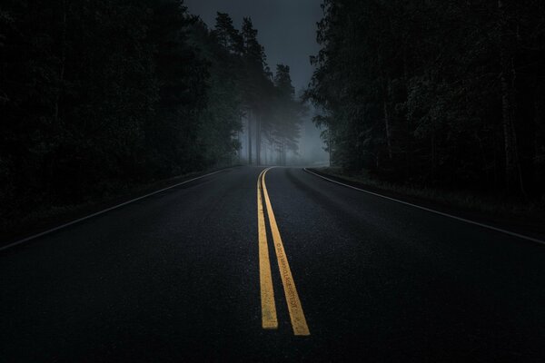 Night road in a dark forest