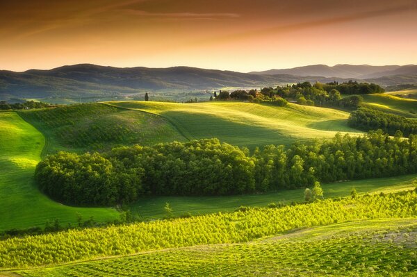 Lugares rurales. Campos verdes italianos