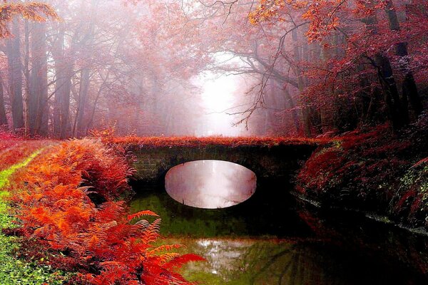 Puente sobre el río en el parque de otoño