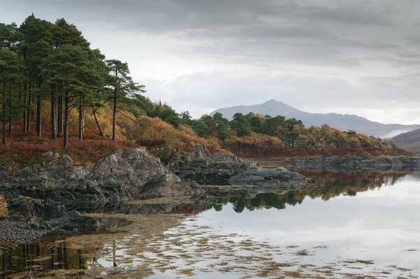 Paisaje: montañas y lago forestal