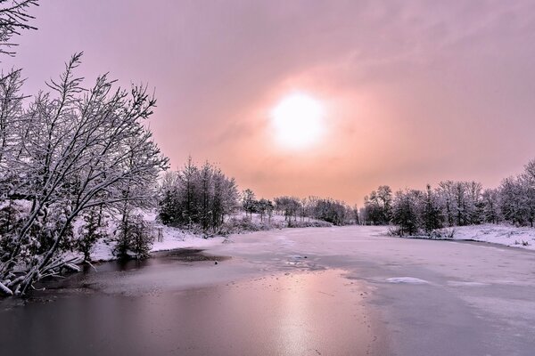 Río de invierno en el bosque