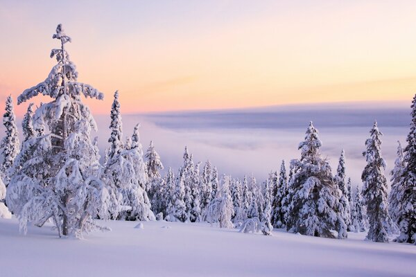 Comer en la nieve en la pendiente en las nubes