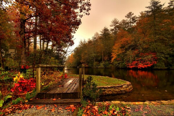 Autumn landscape with a bridge across the river