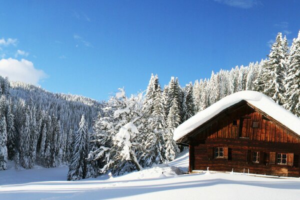 Casa de madera cubierta de nieve cerca del bosque