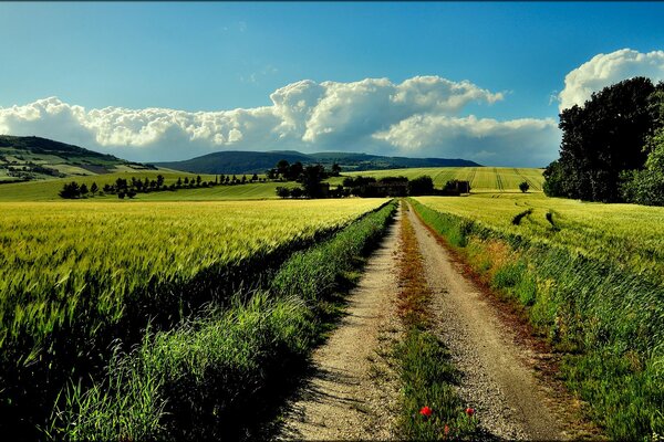 Cielo azul y camino rural en verano en Italia