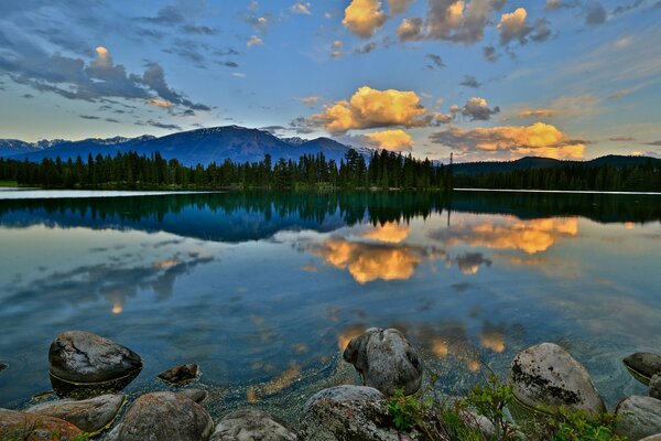 Wald und Berge am See mit Steinen