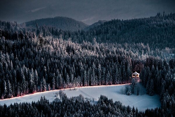 Route forestière au crépuscule en hiver