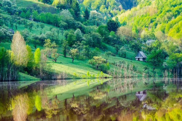 Bright morning village