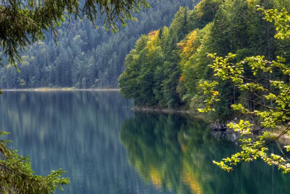 Los árboles se reflejan en el agua en el lago