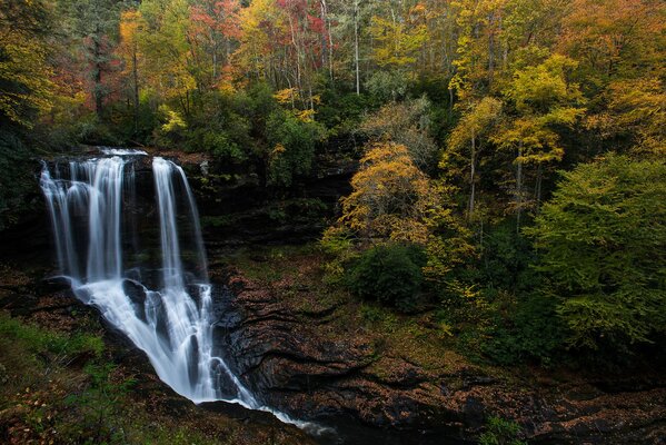 The image of an autumn clear waterfall on the background of a yellow forest