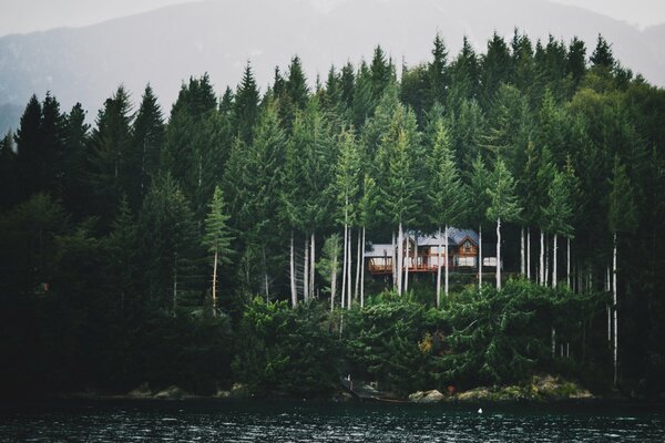 A lonely house surrounded by trees on the lake shore